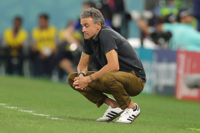 Official: Spain Announce New Coach