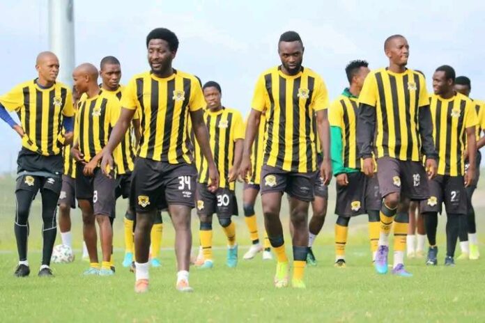 ODG Gives Leopards Glimpse Of Hope For Survival