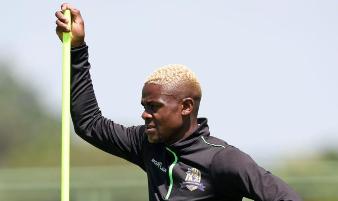 Update On Msendami Future