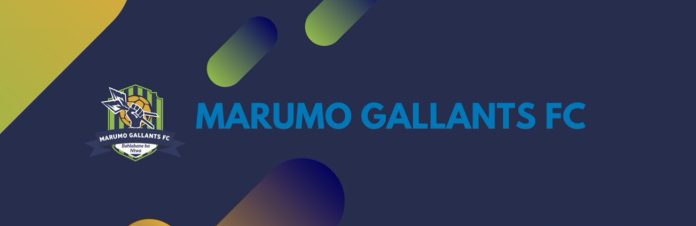 Gallants Sign Replacement For New Pirates Man