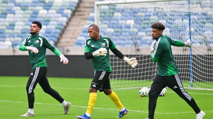 Williams Shares Thoughts On Leaner Addition